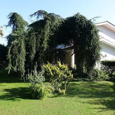 Villa Paradiso Le Rughe Eksteriør bilde