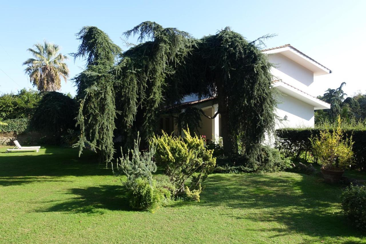 Villa Paradiso Le Rughe Eksteriør bilde